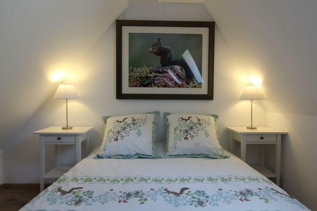 Chambre Chez L'Habitant - L Ecureuil - Coeur De Riquewihr - 2 Personnes Eksteriør bilde